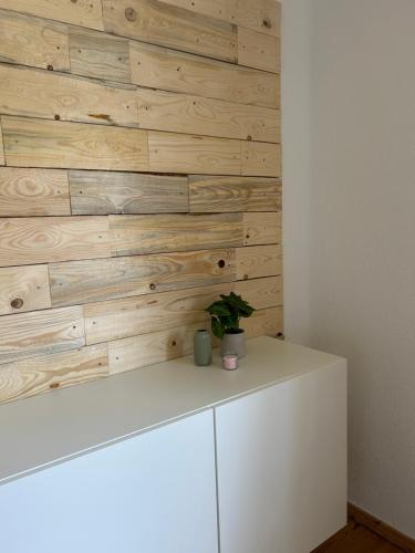 a wooden wall with a white cabinet with a plant on it at Ferienwohnung Mimi in Steyerberg