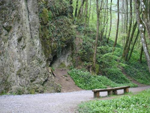 a wooden bench sitting on a path in the woods at Scenic chalet in Vieuxville with terrace in Vieuxville