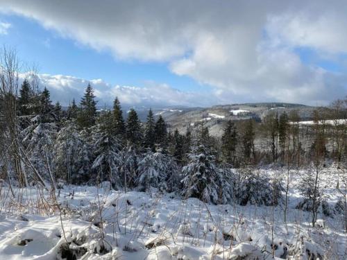 a snow covered field with trees in the background at Deluxe Holiday Home in Brilon-Wald near Ski Area in Brilon