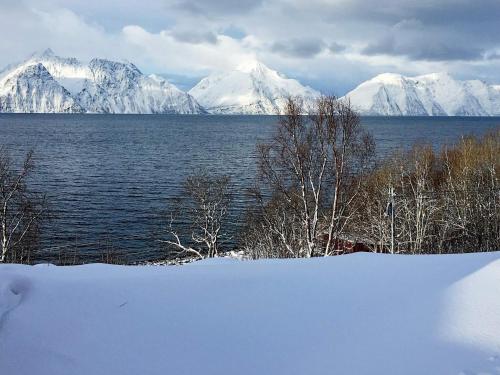 uitzicht op de met sneeuw bedekte bergen en een waterlichaam bij 6 person holiday home in Olderdalen in Olderdalen