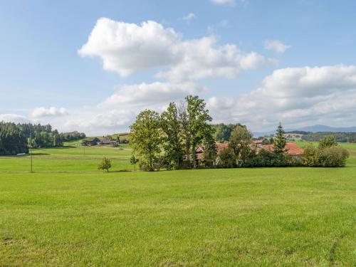 a large field of green grass with trees in it at Farmhouse in Neukirchen near Heiligen Blut in Neukirchen beim Heiligen Blut