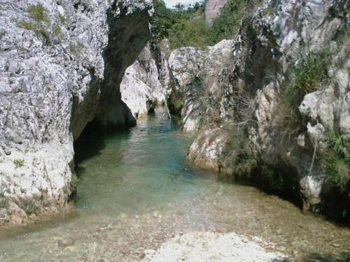 別荘の近くで見られる自然の景観