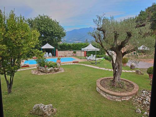 アックアラーニャにあるLarge holiday home in Cagli with poolの木の庭園、スイミングプール