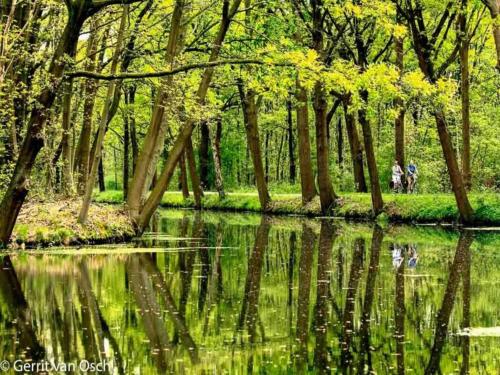 a park with trees and a body of water at Stunning Holiday Home near Forest in Slenaken in Slenaken