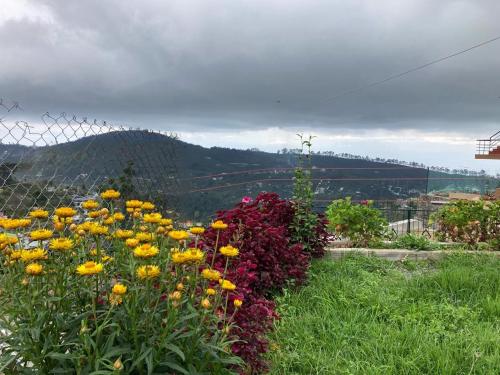 a field of flowers in front of a fence at Akshay INN in Kodaikānāl
