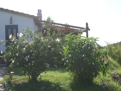 two apple trees in front of a house at Holiday Home with Garden in Kritinia in Kritinía