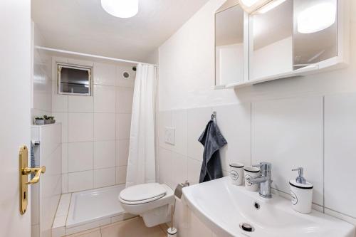 コルバッハにあるFerienwohnung Darijaのトイレと洗面台を備えた白いバスルーム