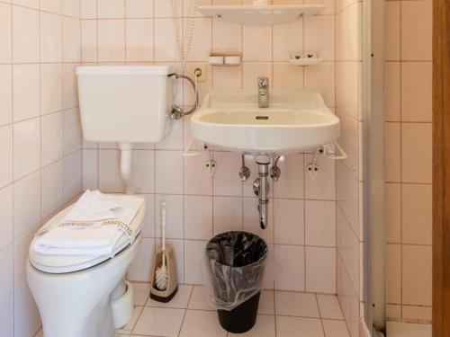 a bathroom with a toilet and a sink at Pretty Apartment in Oberau with Infrared Sauna in Oberau