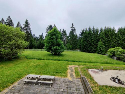 a picnic table and a bench in a field at Spacious semi-detached house with wood stove located directly on the Rennsteig in Eisfeld