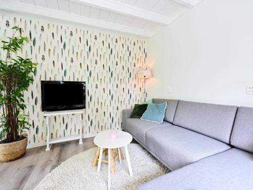Televisyen dan/atau pusat hiburan di Holiday Home in Reutum with Pond and Trails