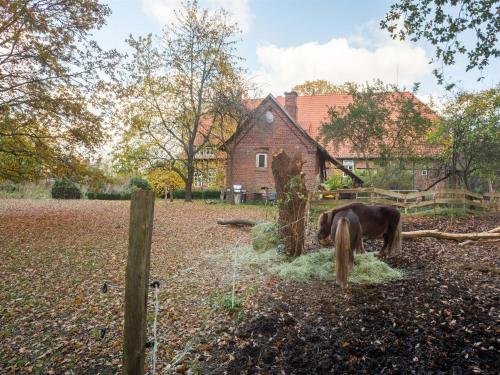 a horse eating grass in front of a fence at Historic Farmhouse in Hohnebostel with Garden near Lake in Langlingen