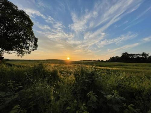 a field with the sun setting in the horizon at Charming Apartment in Oldenburg in Holstein with Terrace in Oldenburg in Holstein