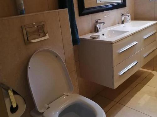 a bathroom with a toilet and a sink at Fiore Guest Accommodation in Greyton