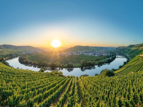 a vineyard with the sun setting over a river and a town at Palzem Riverside Escape in Wehr