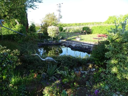 a pond in the middle of a garden at Palzem Riverside Escape in Wehr