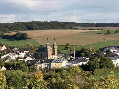 an aerial view of a small village with a church at Palzem Riverside Escape in Wehr