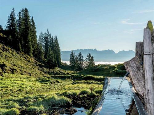 a wooden fence in a field with a body of water at Apartment in Piesendorf near Ski Slopes in Piesendorf