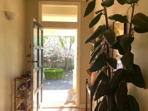 a plant in a hallway next to a door at Elegant Charming Family Villa in Greytown