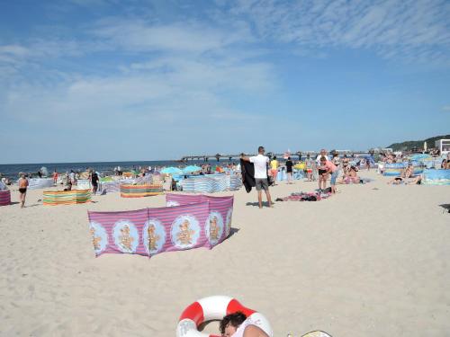Modern wood House in Rewal with a terrace