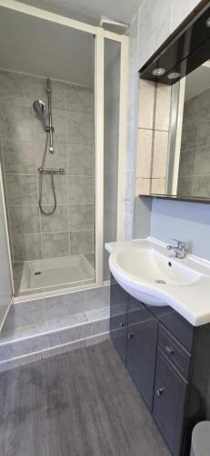 a bathroom with a sink and a shower at Côté cour, T2 espace exterieur au calme in Lourdes