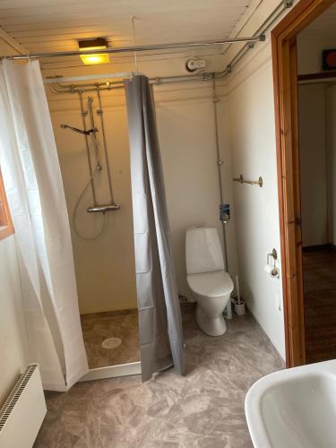 a bathroom with a toilet and a shower and a sink at Boende för arbetare, 6 sovrum in Kramfors