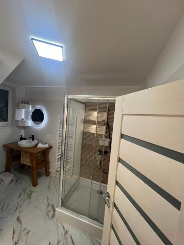 a bathroom with a shower and a sink at Casa Lupu in Platoneşti