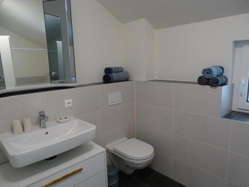a white bathroom with a toilet and a sink at Sunny house, 2 residential units in Postmünster