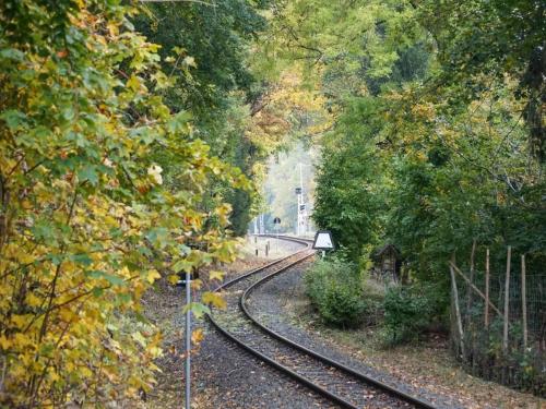 a view of a train track in the woods at Holiday homes in the Schierke Harzresort, Schierke in Schierke