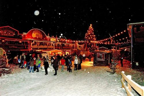 a group of people standing in front of a christmas market at Harz Holiday Park, Hasselfelde in Hasselfelde