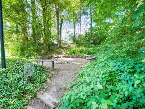 two benches sitting on a dirt trail in a forest at Serene Holiday Home in Ulestraten with Terrace in Ulestraten