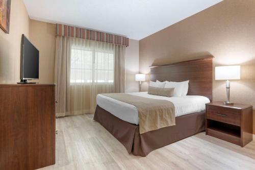 a hotel room with a bed and a television at Best Western Circus City Inn in Peru
