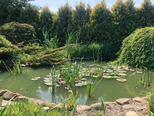 un laghetto con gigli in giardino di Comfortable holiday home on Lake Jamno, Podamirowo a Podamirowo