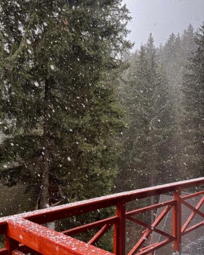 a red fence in the snow with trees in the background at Casa Familiei in Braşov