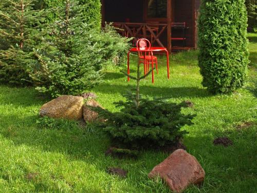 a red chair in a yard next to a pine tree at Authentic Holiday Home in Kopalino with Fireplace in Kopalino