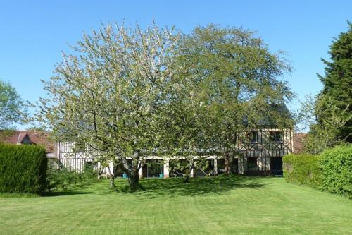 a tree in the yard of a house at Semi-detached house, Rieux in Rieux