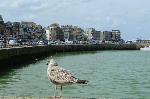 a bird standing on the edge of a body of water at Semi-detached house, Rieux in Rieux