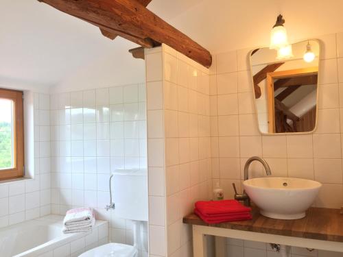 a bathroom with a sink and a tub and a mirror at Mala Kmetija in Slovenske Konjice