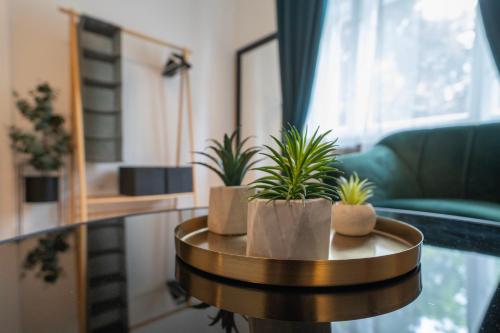 ブダペストにあるGreen Greguss Calm Chic w AC by M2 Metroのリビングルーム(植物テーブル付)