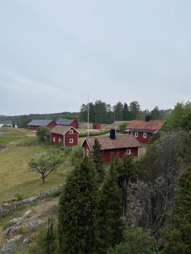 a group of red houses on a hill with trees at Horsviksstugor in Nyköping