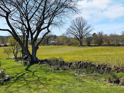 a tree in a field next to a rock wall at 2 person holiday home in Brösarp in Brösarp