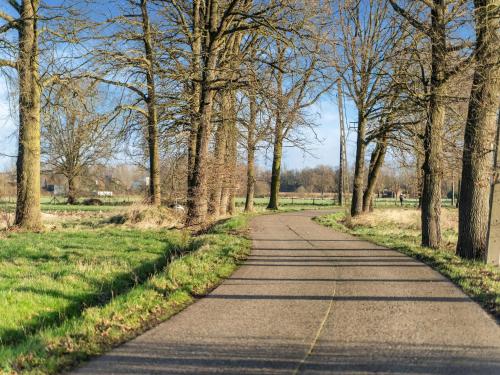 a road in a park with trees and grass at Herselt Garden Shed Retreat in Herselt