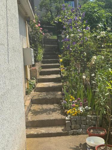 Apartman Đurđevak ,Banja Koviljačaにある庭