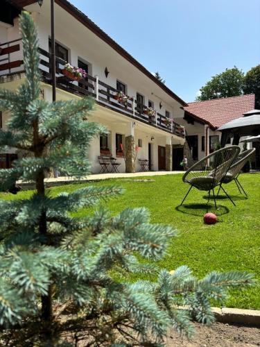 a yard with a chair and a pine tree at Guest House Piatra Craiului in Bran