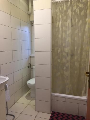 a bathroom with a toilet and a shower at Domek pod świerkami 3 in Skorzęcin