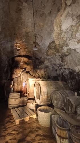 a cave room with a bench and some logs at La Maison du Griffoul BB à Salles la Source cascade et terroir in Salles-la-Source