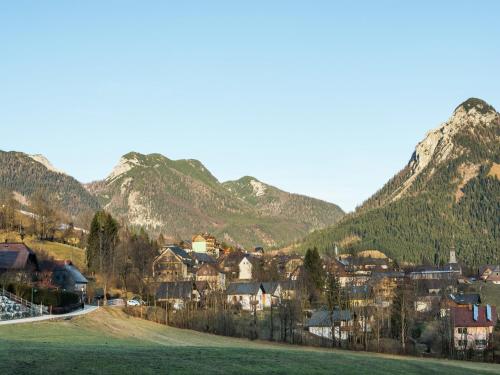 a small town in the mountains with a green field at Apartment in Tauplitz near Ski Lift in Tauplitz
