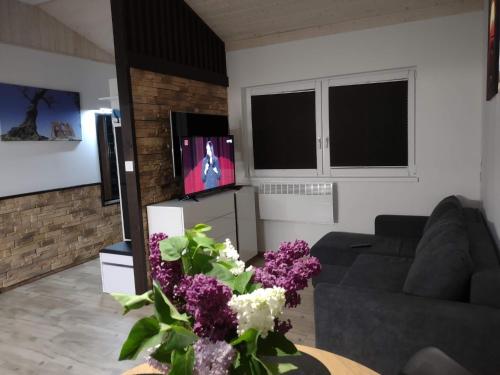 Μια τηλεόραση ή/και κέντρο ψυχαγωγίας στο Comfortable holiday homes, swimming pool, Rewal