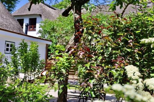 Zahrada ubytování tolle Ferienwohnung in einem reetgedeckten Haus