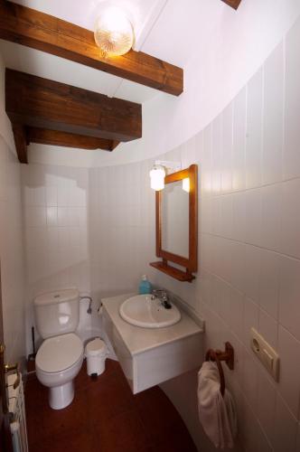 a bathroom with a toilet and a sink and a mirror at Apartamentos el Cueto de los Collado in Villanueva de Pría