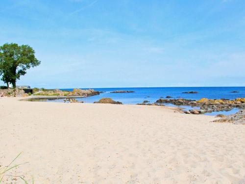 a sandy beach with a tree and the ocean at Storløkke Holiday Park in Allinge
